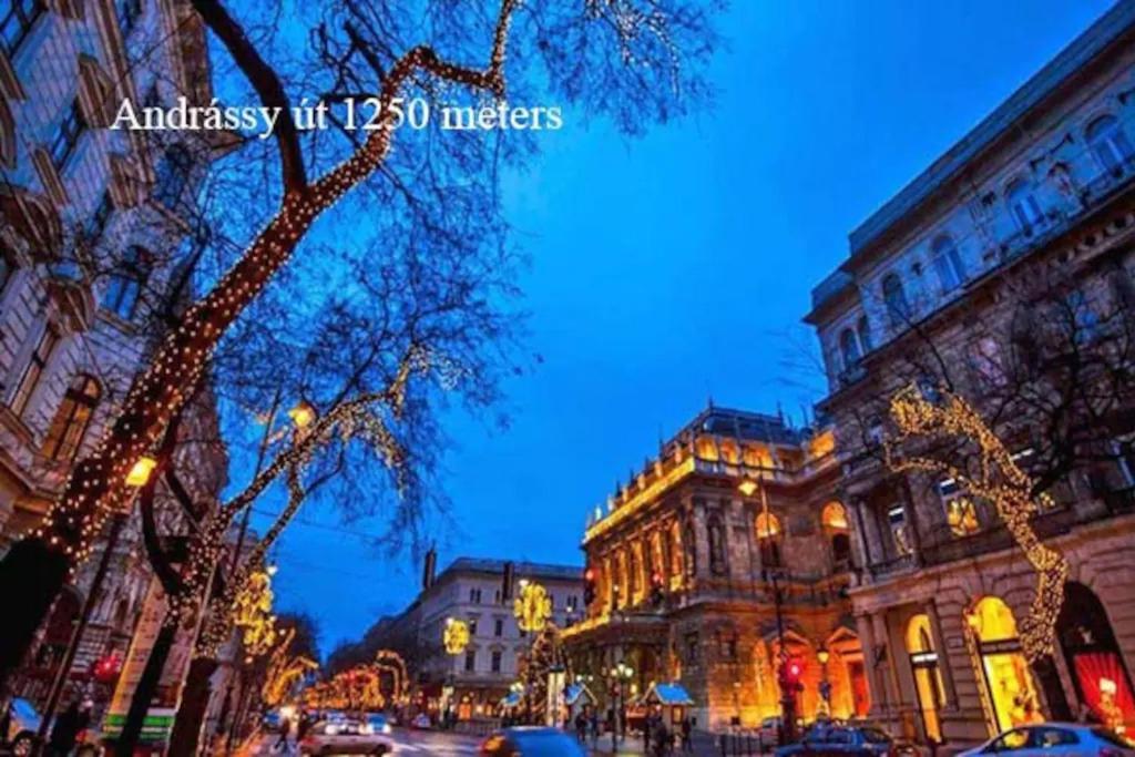 Center Apartment 5 Private Room For 19 People Budapest Bagian luar foto